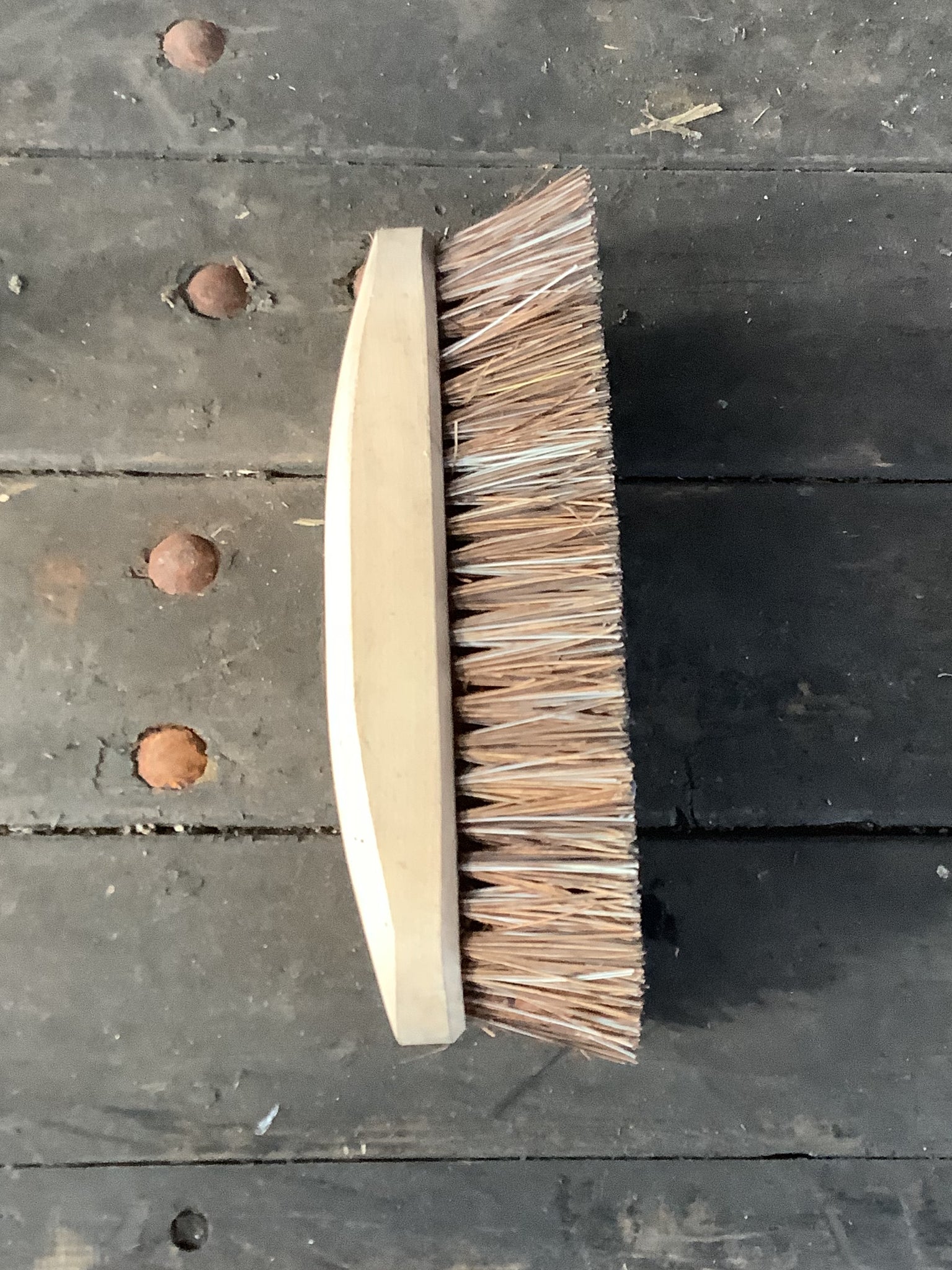 Hard Bristle Hand Brush