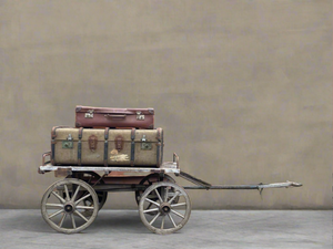 Cart with Luggage