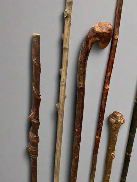 A collection of 11 natural wooden walking sticks, with various shapes and shades of wood.
