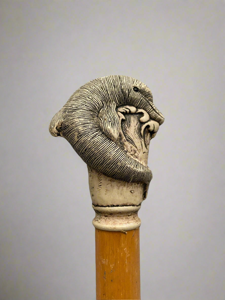 A light wooden walking stick topped with a finely carved ivory handle in the shape of a dolphin.