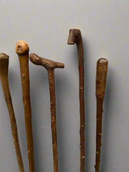A collection of 11 natural wooden walking sticks, with various shapes and shades of wood.