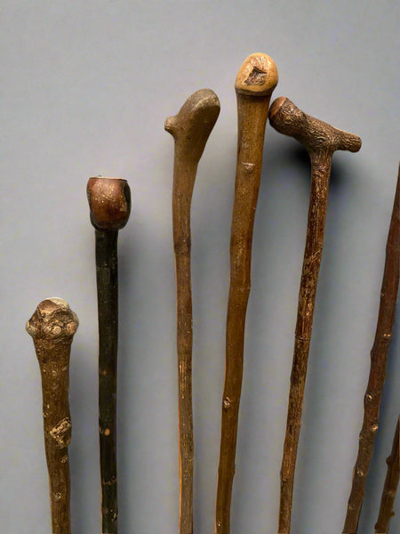 A collection of 11 natural wooden walking sticks, with various shapes and shades of wood.