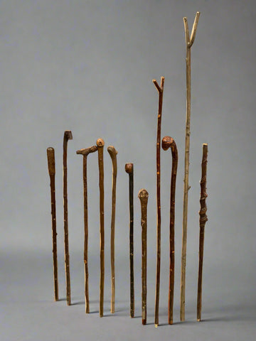 A collection of 11 natural wooden walking sticks, with various shapes and shades of wood.