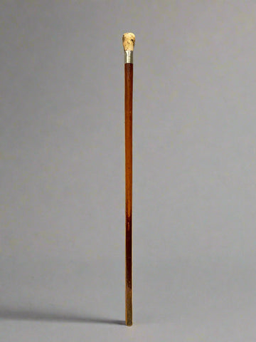 A gentleman's wooden walking stick, topped with a handle crafted from bone and silver.
