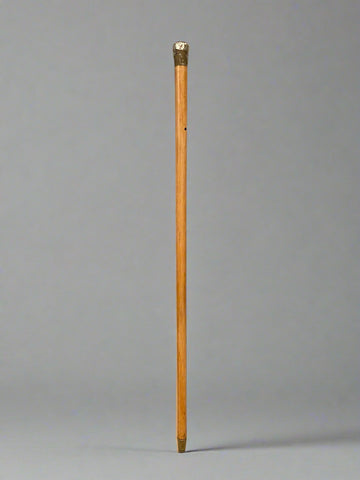 A light wooden walking stick with a round tarnished silver top.