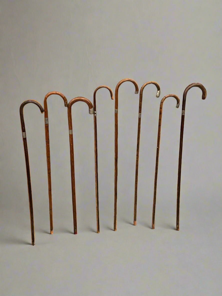 A collection of antique bamboo walking sticks, with a curved tops and silver details. Circa 19th century.