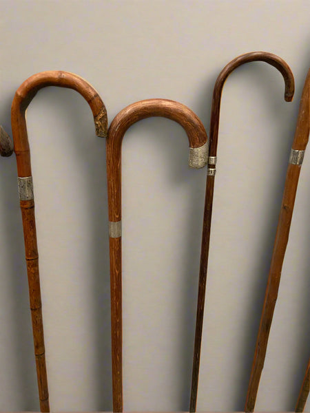 A collection of antique bamboo walking sticks, with a curved tops and silver details. Circa 19th century.