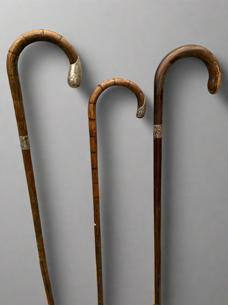 A collection of antique bamboo walking sticks, with a curved tops and silver details. Circa 19th century.