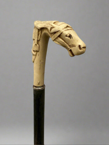 A sleek black gentleman's walking stick topped with a carved ivory handle depicting a male bearded face and a horse head.