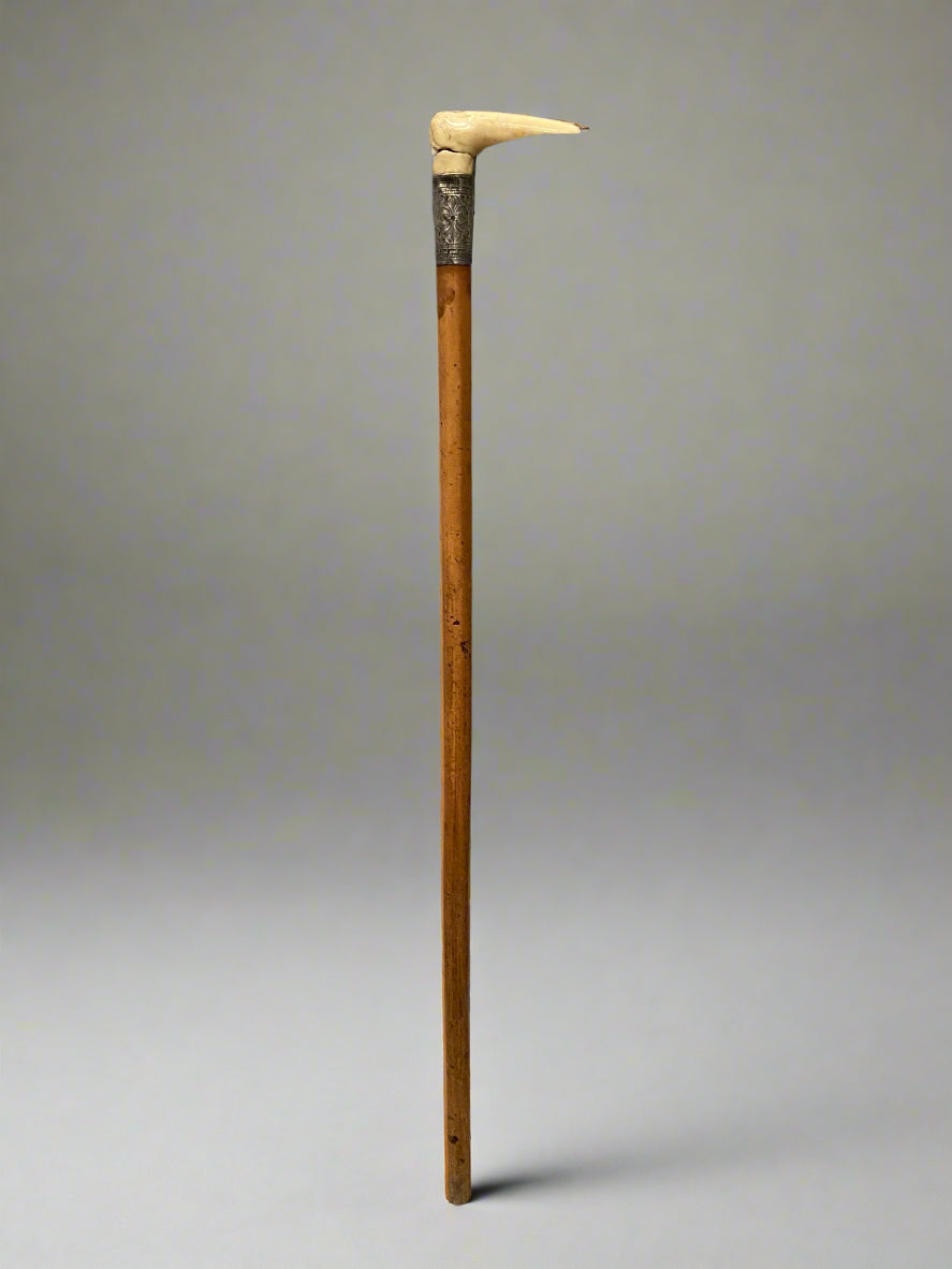 A wooden walking stick topped with a bone handle and a patterned silver cuff.