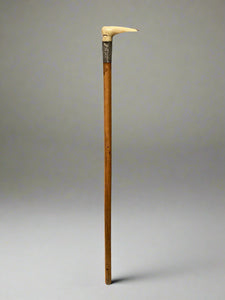 A wooden walking stick topped with a bone handle and a patterned silver cuff.