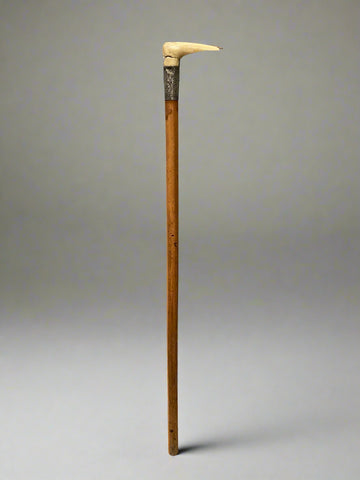 A wooden walking stick topped with a bone handle and a patterned silver cuff.
