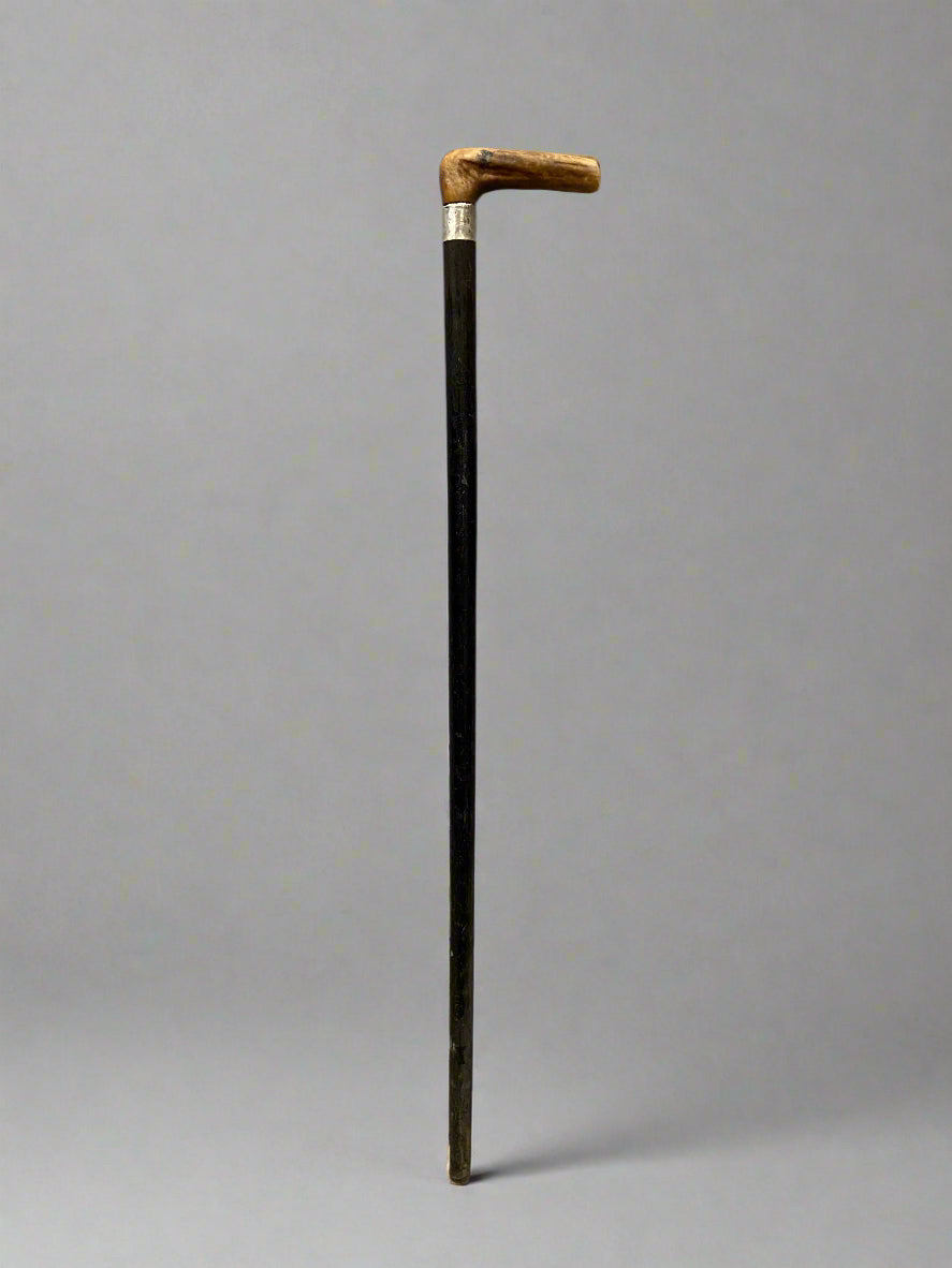 An ebonised black walking stick with a brown horn handle and a silver cuff.