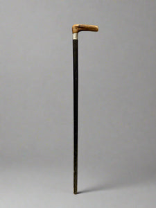 An ebonised black walking stick with a brown horn handle and a silver cuff.