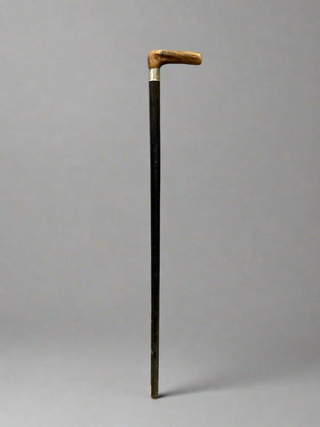 An ebonised black walking stick with a brown horn handle and a silver cuff.