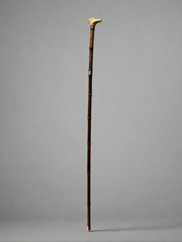 A dark bamboo walking stick with a shaped bone handle and silver cuffs.