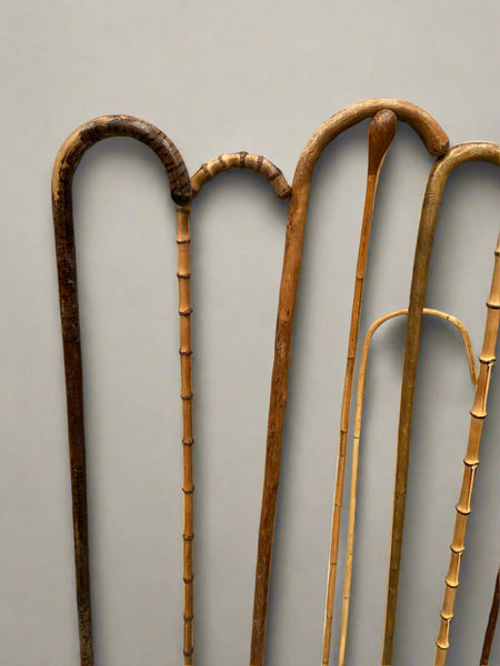 A collection of natural wooden canes with curved crook handles.