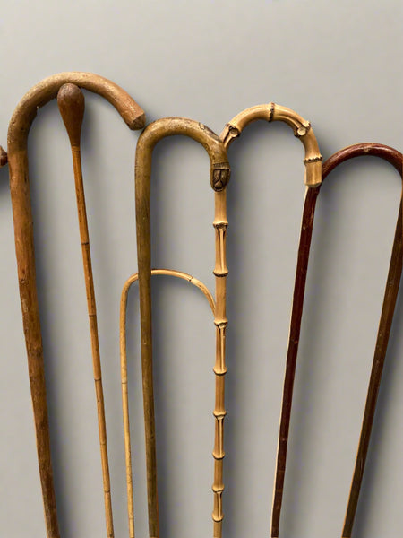 A collection of natural wooden canes with curved crook handles.
