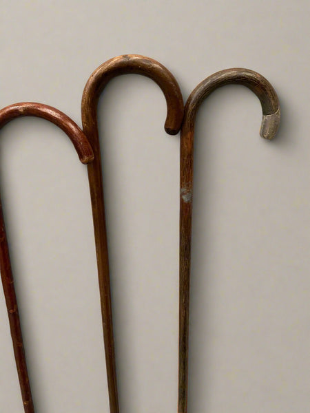 A collection of natural wooden canes with curved crook handles.