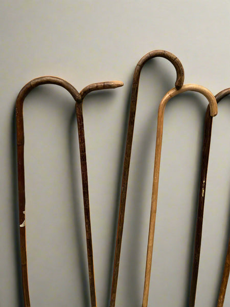 A collection of simple, natural, wooden canes with a curved crook handle.