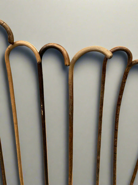 A collection of simple, natural, wooden canes with a curved crook handle.