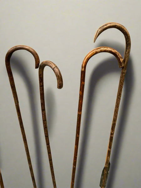 A collection of simple, natural, wooden canes with a curved crook handle.