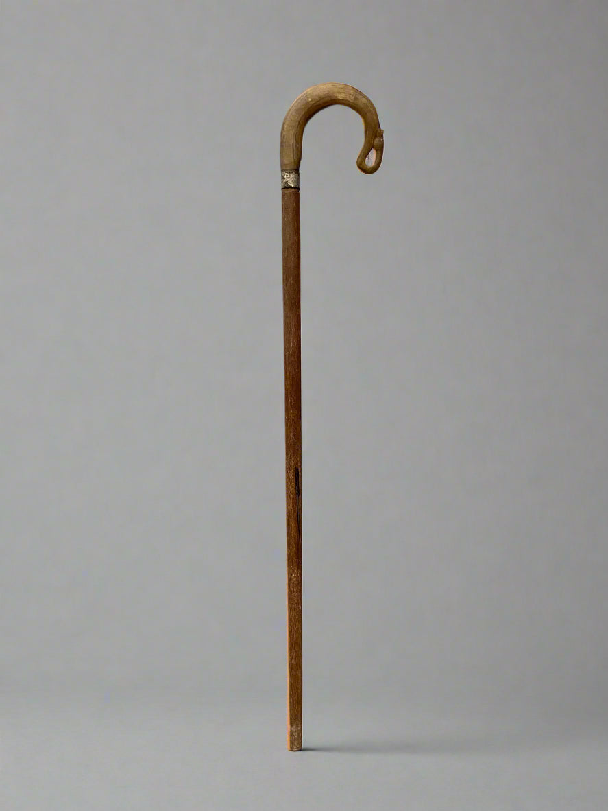 A carved wooden walking stick with a handle shaped like a shepherd's crook.