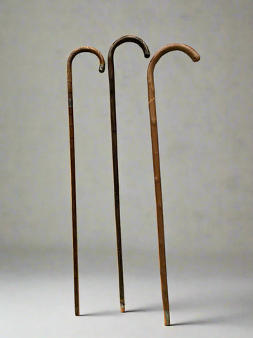 A collection of walking sticks with curved crook handles and a glossy finish.