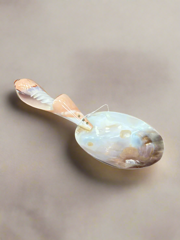 Vintage Mother of Pearl Caviar Spoon