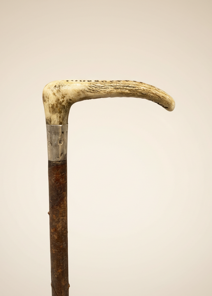 An antique hunting crop with a bone handle wrapped in a silver cuff and leather lash.