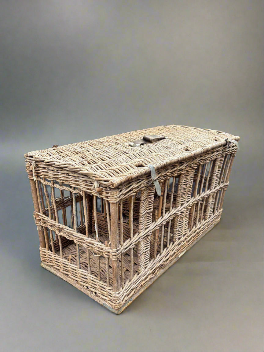 A large sectioned transport basket made from woven wicker, with leather straps.
