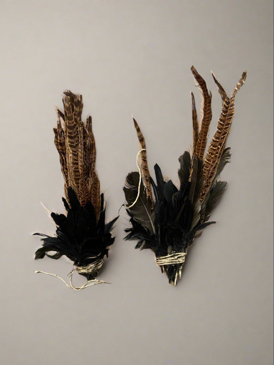 A collection of bunched brown and black pheasant tail feathers.