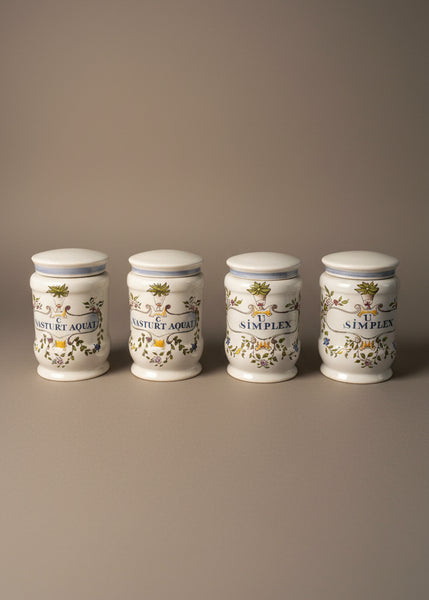 A set of vintage apothecary canister jars, with herbs as medicines in Latin botanical illustrations.