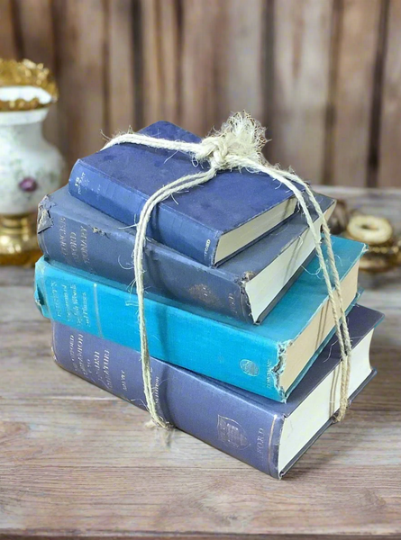 Stack of Blue Books