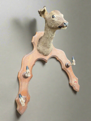 Taxidermy deer head mounted on a horseshoe-shaped wooden backboard.