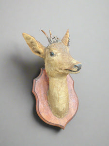 Taxidermy deer head mounted on a crest-shaped wooden backboard.