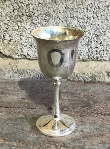 Simple Silver Goblet