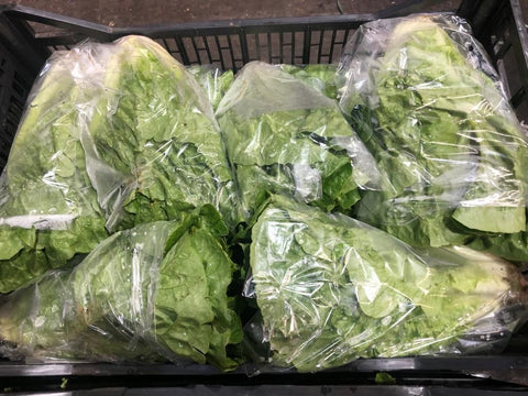 Box of Romaine Lettuce