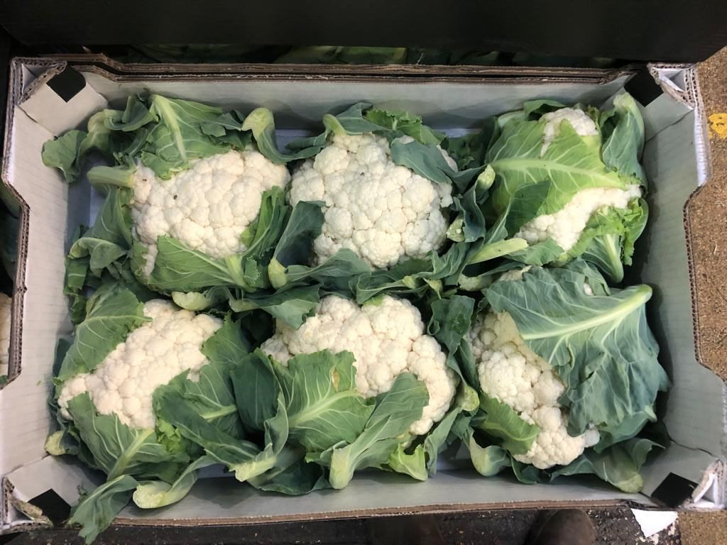 Box of Cauliflowers