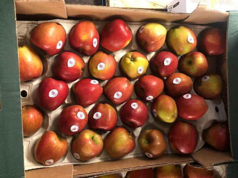 Box of Apples