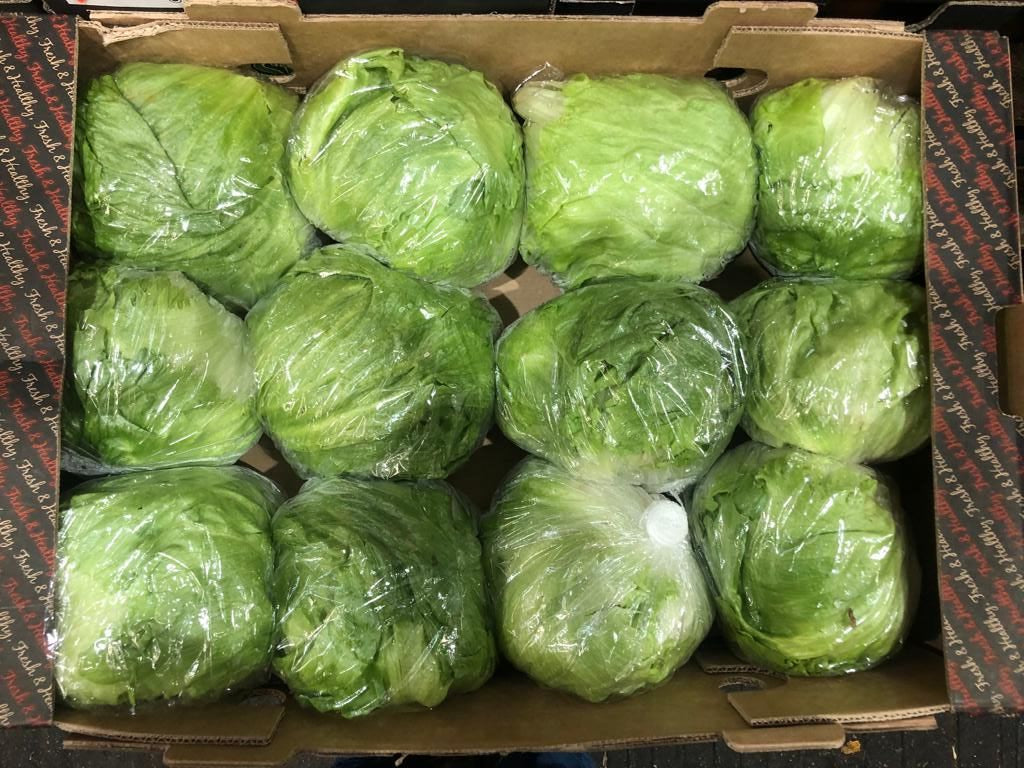 Box of Iceberg Lettuce