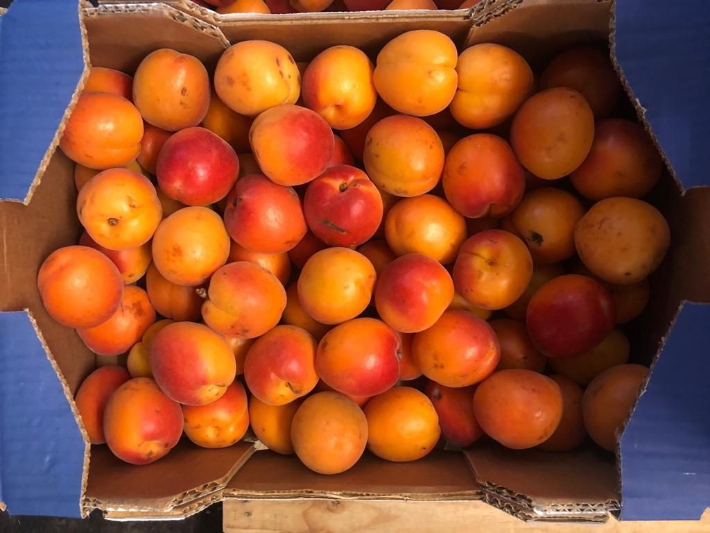 Box of Orange Nectarines