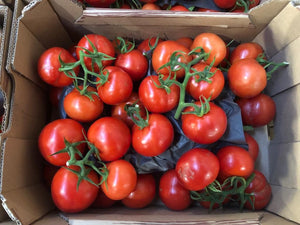 Box of Campari Tomatoes