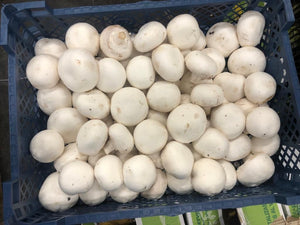 Crate of White Mushrooms