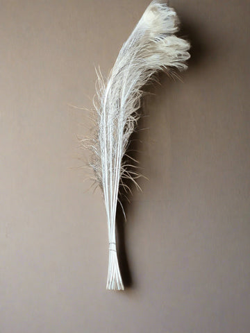 A bunch of long white peacock feathers.