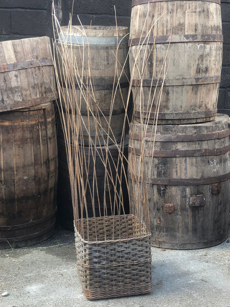 Square wicker planter with an 'open' obelisk support. Traditionally these are bound at the top to create a pyramid shape. Medium and large-size.