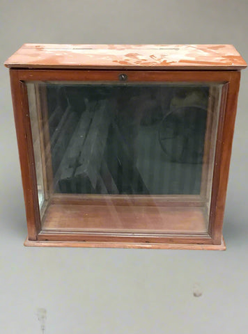 Cubic wood and glass display cabinet for displaying taxidermy.