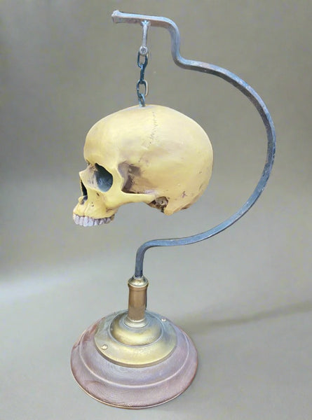 Resin replica human skull hanging on a chain.