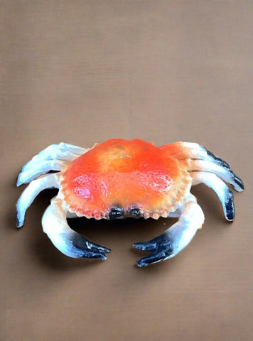 Small Dungeness crab, made from light hollow plastic.