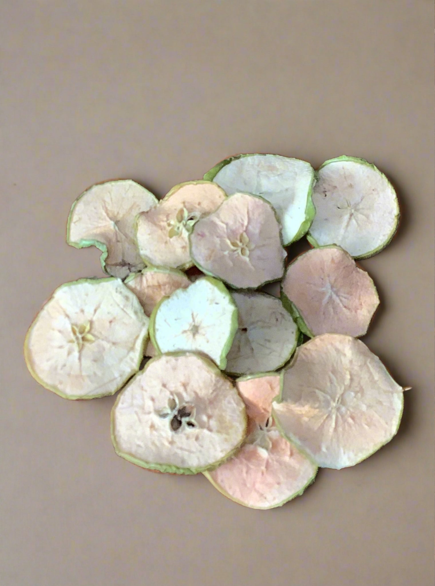 Bag of faux dried green apple slices.